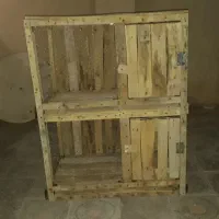 کبوتر