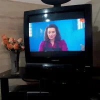 تلویزیون