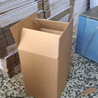 کارتن سازی مکعب طلایی