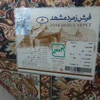 قالی ۶ متری