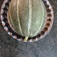 شادگان