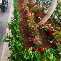 خدمات‌باغبانی‌درسراسر‌تهران