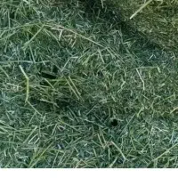 فروش کاه یونجه