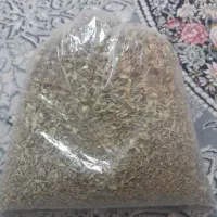 آویشن کوهی