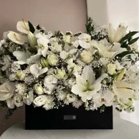 مداح ختم و ترحیم کردی فارسی دشتی کوردی