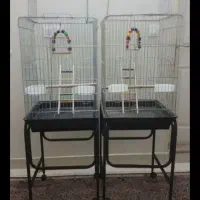 قفس ۱۰۳۳ پرنده عروس هلندی طوطی برزیلی گرینچیک راهب