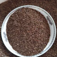 زیره سیاه  کوهی