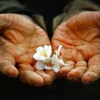 جویای کار
