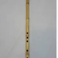 نوازنده نی