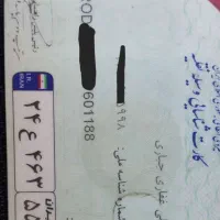 مدارک گمشده