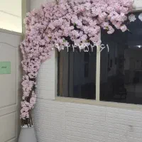 نصب درخت شکوفه در ابعاد مختلف.