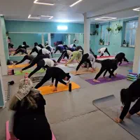 باشگاه  یوگا آرامش