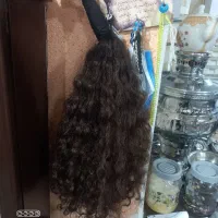 موی خود را به پول تبدیل کن