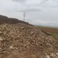 کود مرغ|خدمات باغبانی و درختکاری|دهگلان, |دیوار