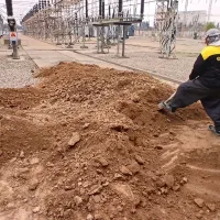 گل ، خاک مخصوص باغچه