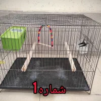 قفس پرنده