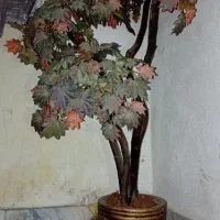 درختچه