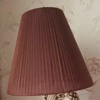 شیدآباژورولوستروقفس گل وماهی رزین