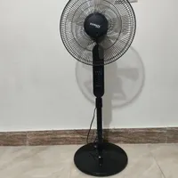 پنکه
