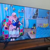ال ای دی ۵۵ اسنوا فورکی هوشمند
