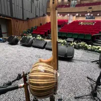 دو عدد کمانچه حرفه ای