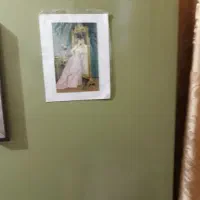 تمام فریزسالم