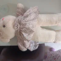 تعدادی عروسک نو