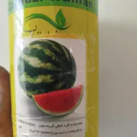 بذر هندوانه گرد