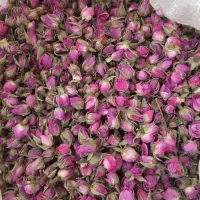 فروش عمده غنچه گل محمدی دارابی کیفیت لوکس صادراتی