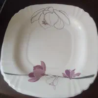 بشقاب پلو خوری