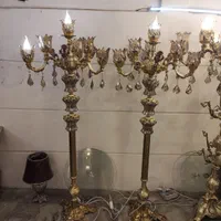 کنار سالنی شاخه ای