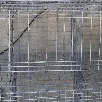 قفس مرغ و پرنده