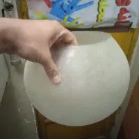 تنگ ماهی گلدان کاکتوس