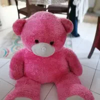 خرس تدی بزرگ
