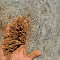 پودر گوشت و پودر ماهی مخصوص خوراک ابزیان