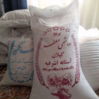 برنج  شمال گیلان آستانه اشرفیه و چای بهاره لاهیجان