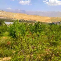 495متر-باغچه-شهرکی-4دیواری-شده-دماوند