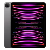 ipad pro 2022 256g
