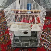 قفس پرنده