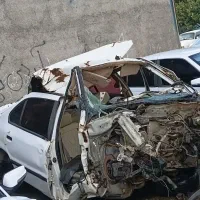 سمند تصادفی مدل ۹۵