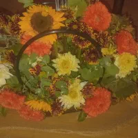 سبدگلطبیعی|گل و گیاه طبیعی|تهران, تجریش|دیوار