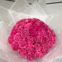 گل رز روبانی