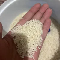 برنج درجه یک علی کاظمی