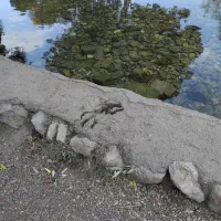 خونه ویلایی2طبقه طبقه اول مورد اجاره