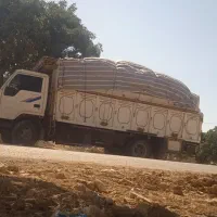 باربری