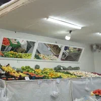 وسایل کامل میوه فروشی