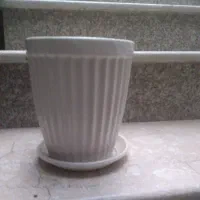 یک عدد گلدان