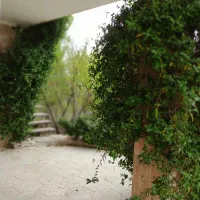 اجاره روزانه/هفتگی/ماهانه ویلا ۸۰۰ متری یولاق