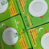 پنل هالوژن پارس شعاع توس