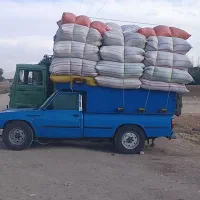 فروش کاه